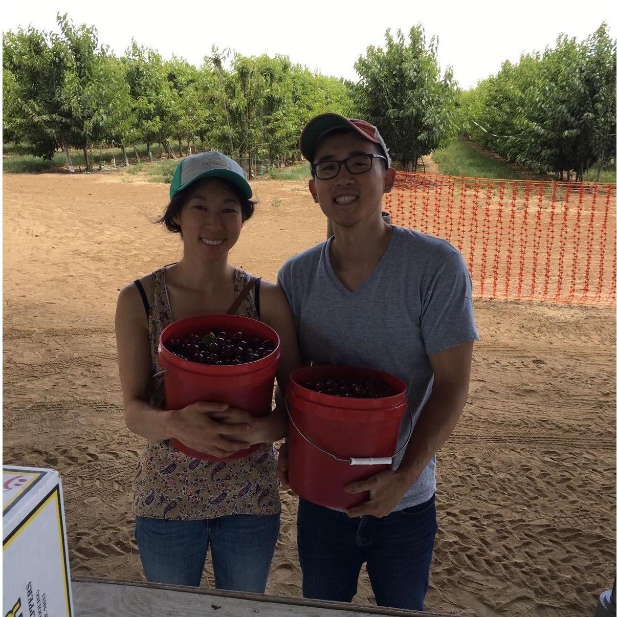 picking 20lb of cherries.  where the proposal *almost* happened =D.
