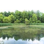 Rust Nature Sanctuary