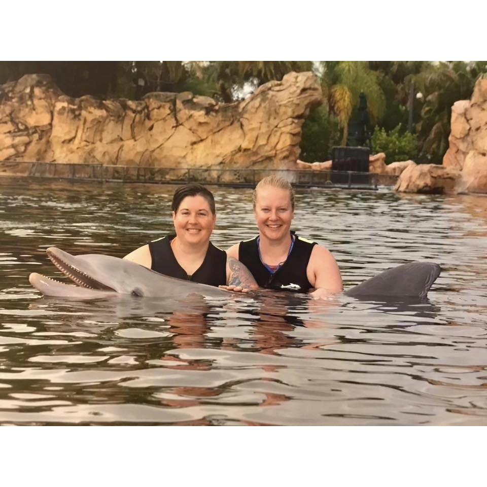 Discovery Cove "Swimming with the Dolphins" 2018