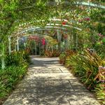 Naples Botanical Garden