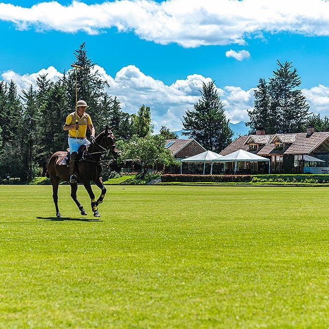 Horseback riding available for guests