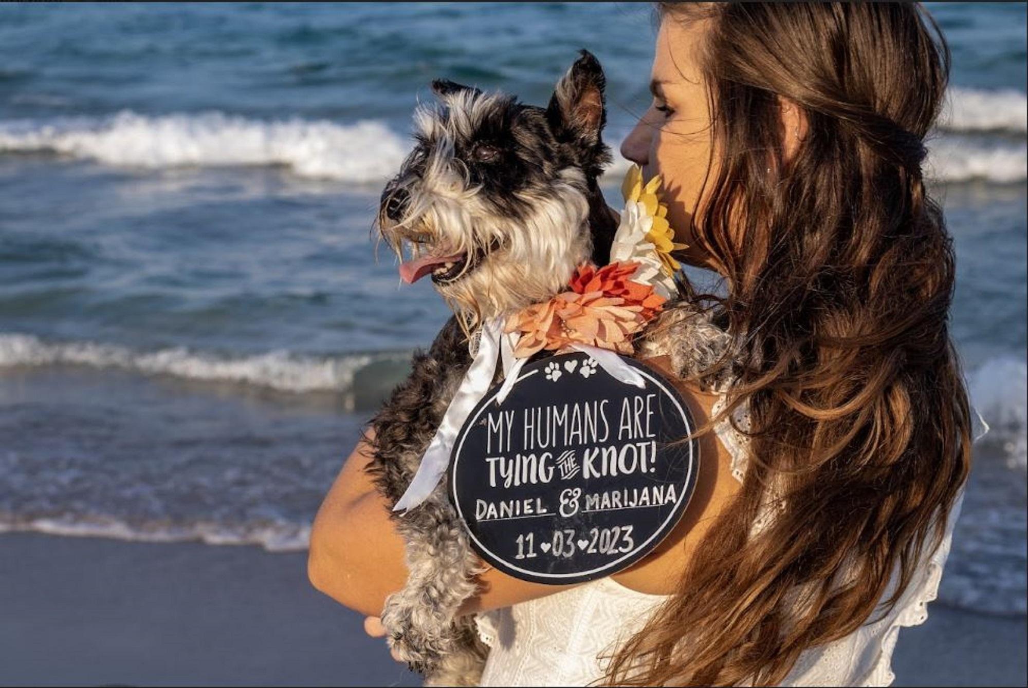 The Wedding Website of Marijana Milanez and Daniel Blackburn