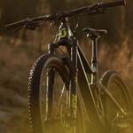 Katy Trail Biking