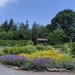 The Webster Arboretum
