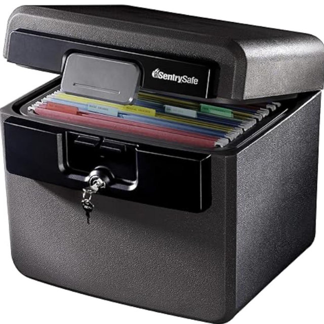Sentrysafe Black Fireproof and Waterproof Safe