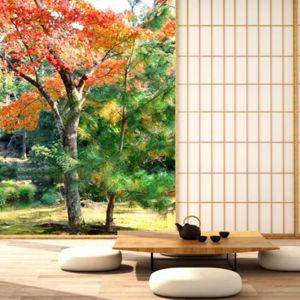 Honeymoon in Japan- hotels