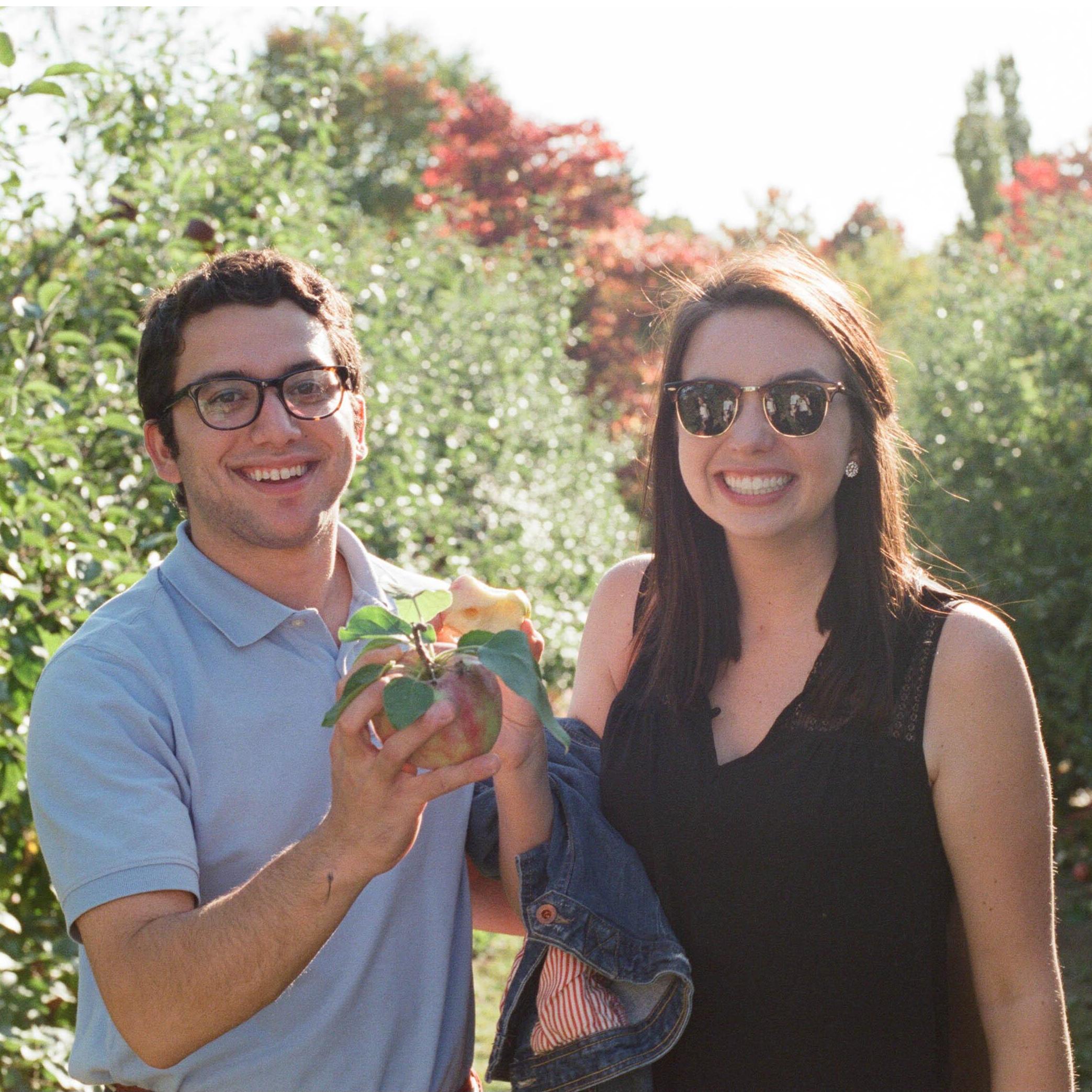 Apple picking in MA.