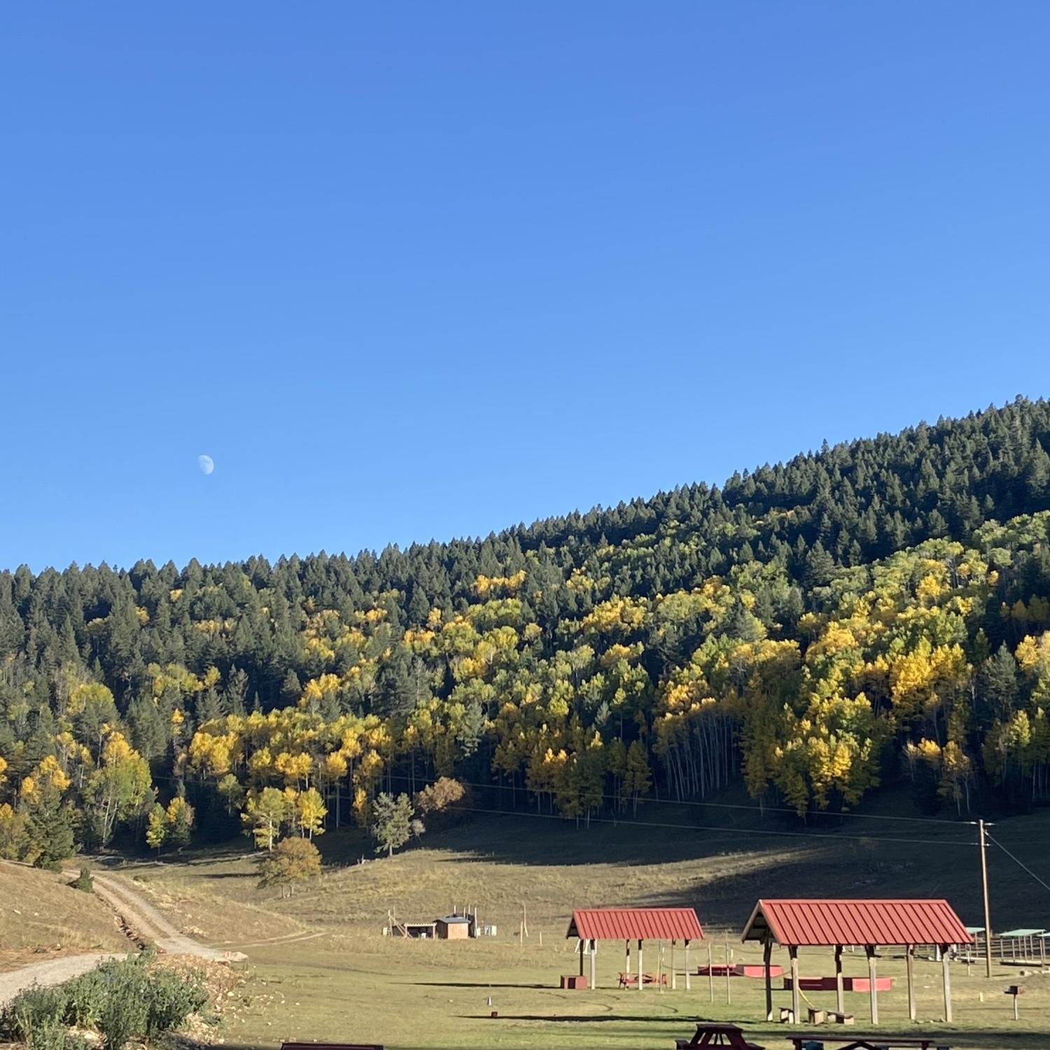 Aspendale Valley