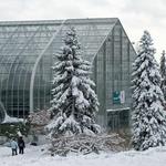 Krohn Conservatory