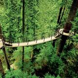 Capilano Suspension Bridge Park