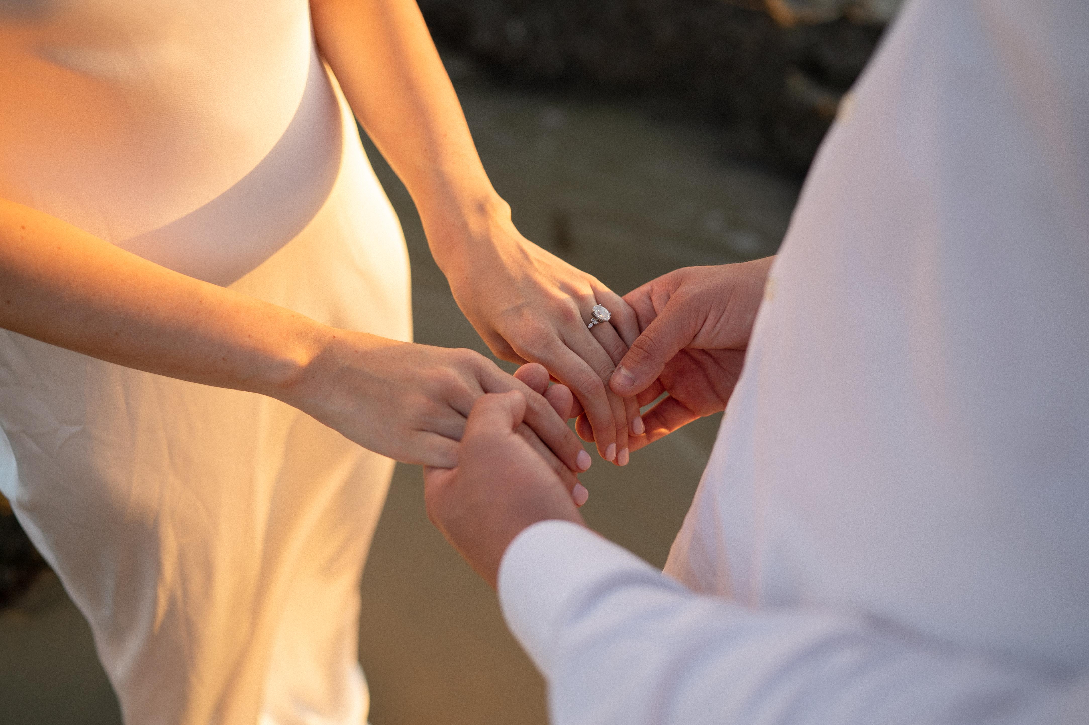 The Wedding Website of Rachel Cutter and Link Villanueva