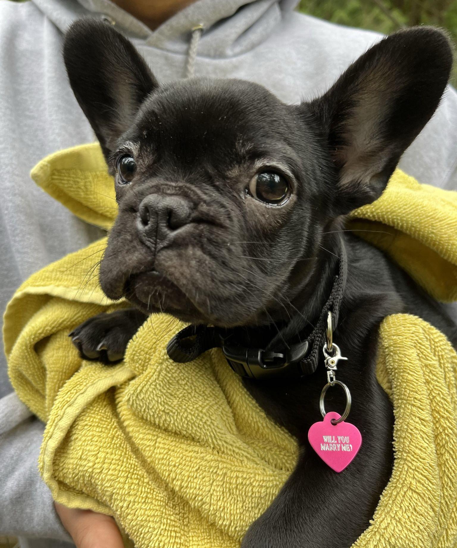 The Wedding Website of Brandi Watson and Brandon Nowland