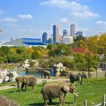 Denver Zoo