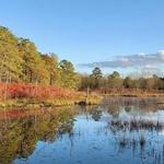 Black Run Preserve