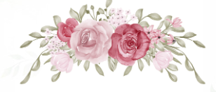 The Wedding Website of Nadia Malik and Mirza Ahmed