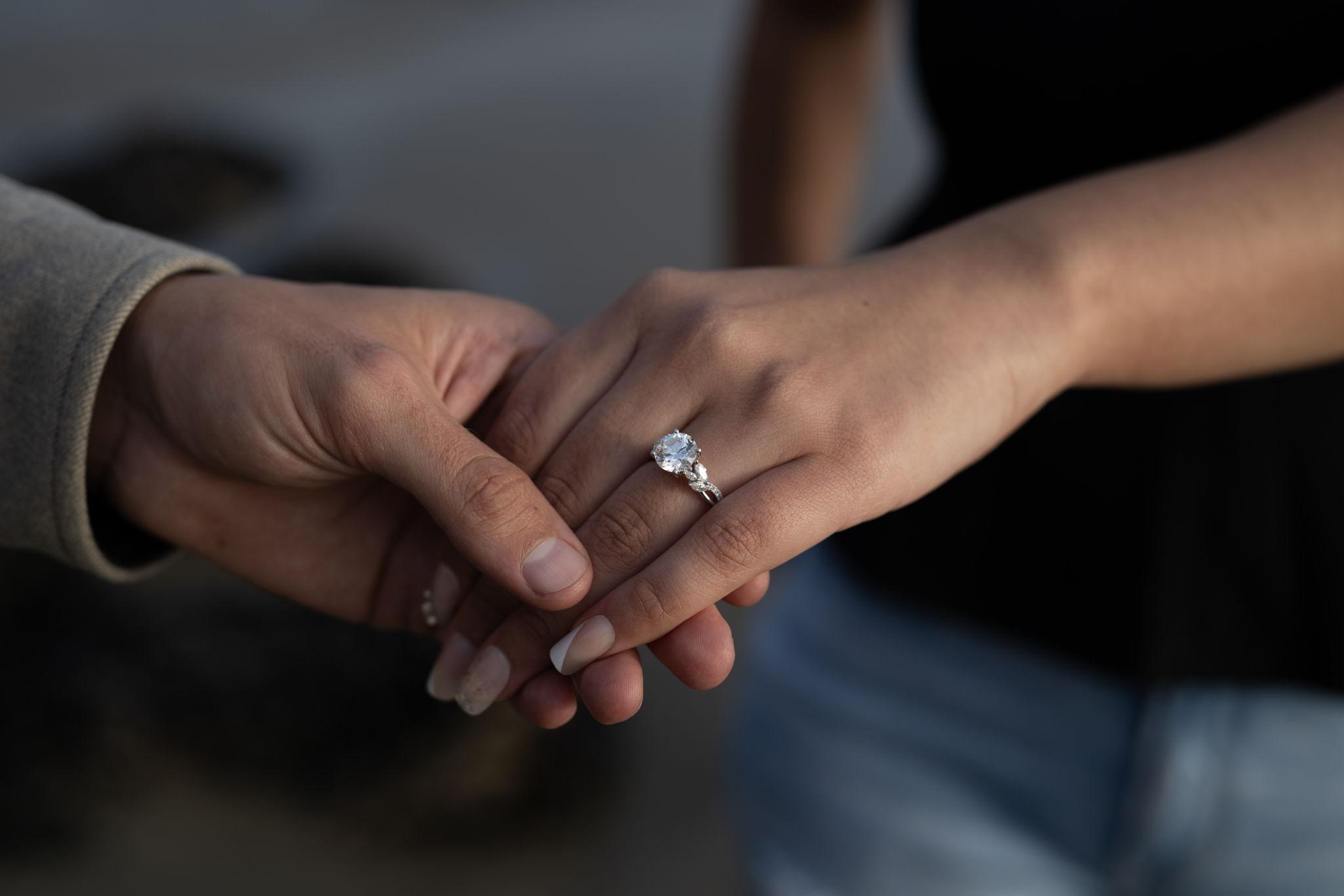 The Wedding Website of Chelsea Singh and Jeremy Krehbiel