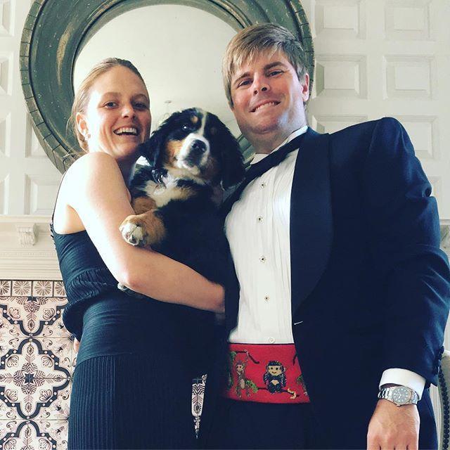 World Bernese Mountain Dog day was a black tie affair...