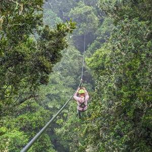 Zip Lining Through Rainforest