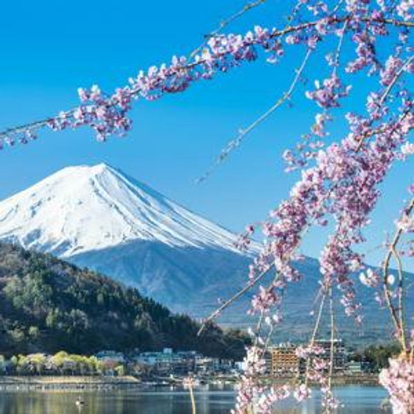 Honeymoon Fund - Japan!