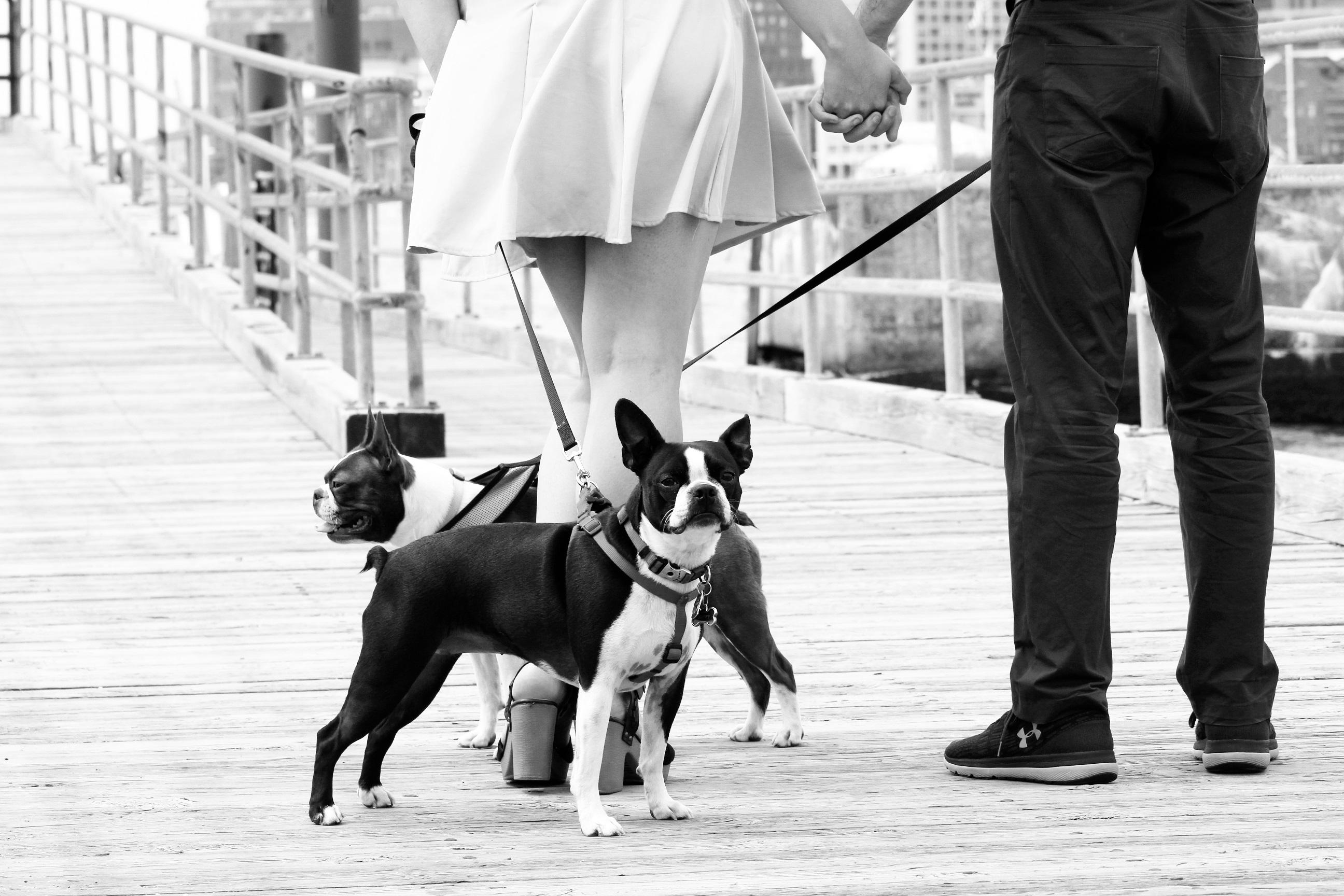 The Wedding Website of Lynna Ly and Mark Hager