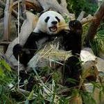 San Diego Zoo