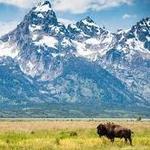 Grand Teton National Park