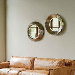 Round Convex Mirror
