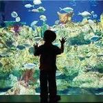 North Carolina Aquarium at Fort Fisher