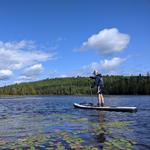Canoe/Kayak Rentals