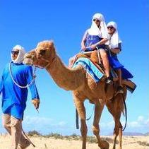 A Bucket List Item completed- Be on a camel actually on hump day, Cabo San Lucas, November 2019