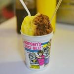 Hansen's Sno-Bliz