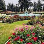 Rose Garden