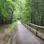 Cape Fear River Trail