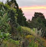 JC Raulston Arboretum