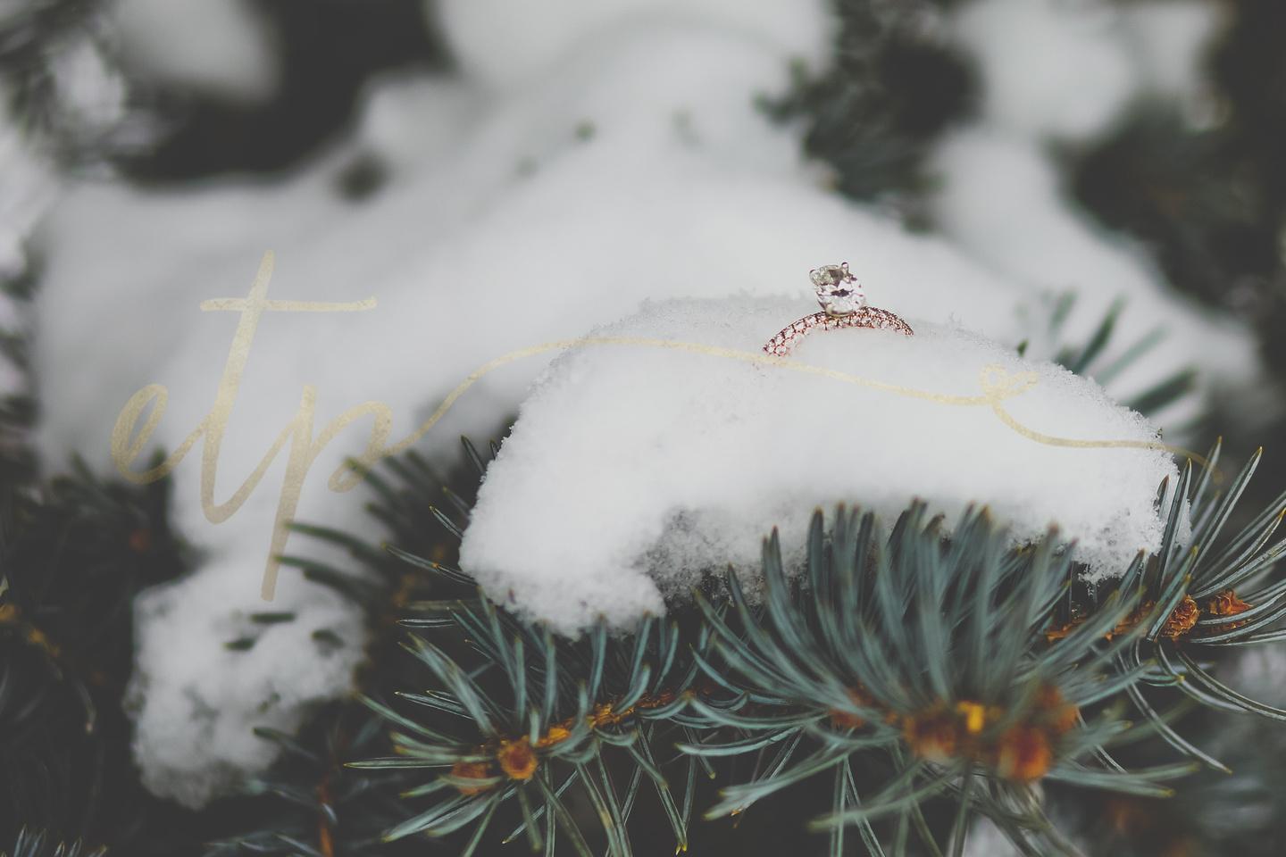 The Wedding Website of Ashley Sercu and Jacob Herthum