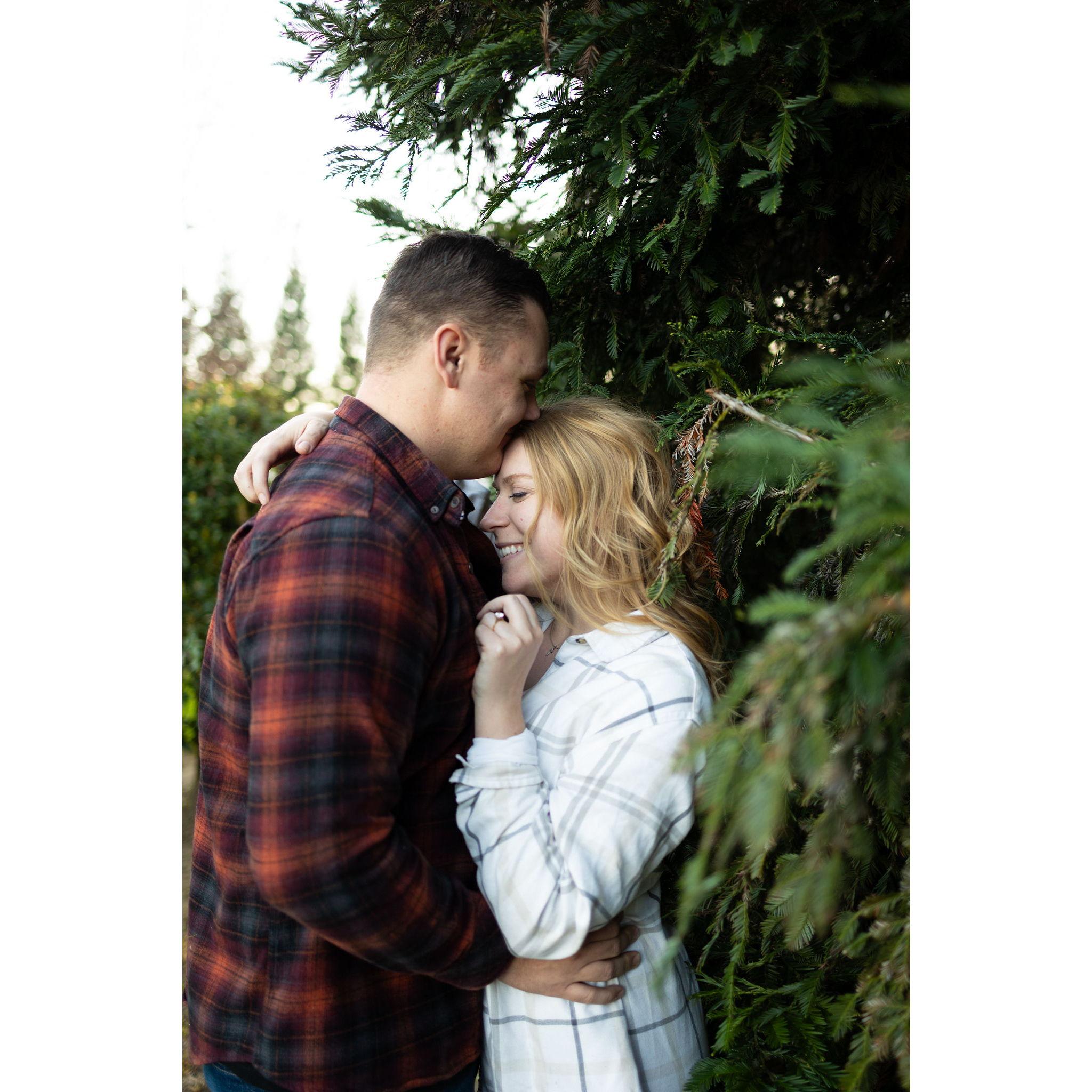 We first said "I love you" up in the Shasta Pine trees