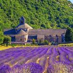 Provence