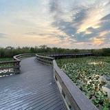 Everglades National Park