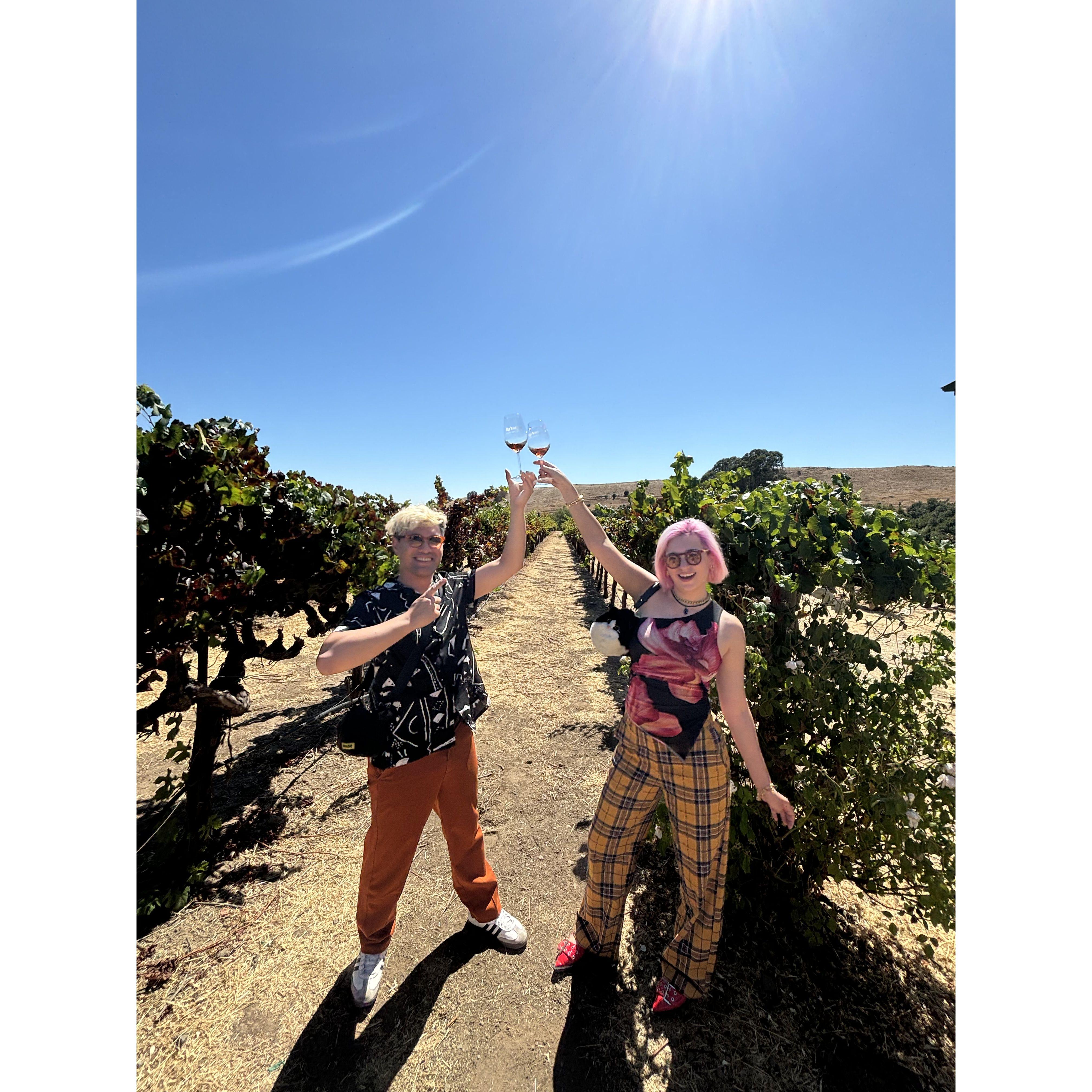 Wine Tasting in Nappa (2024)