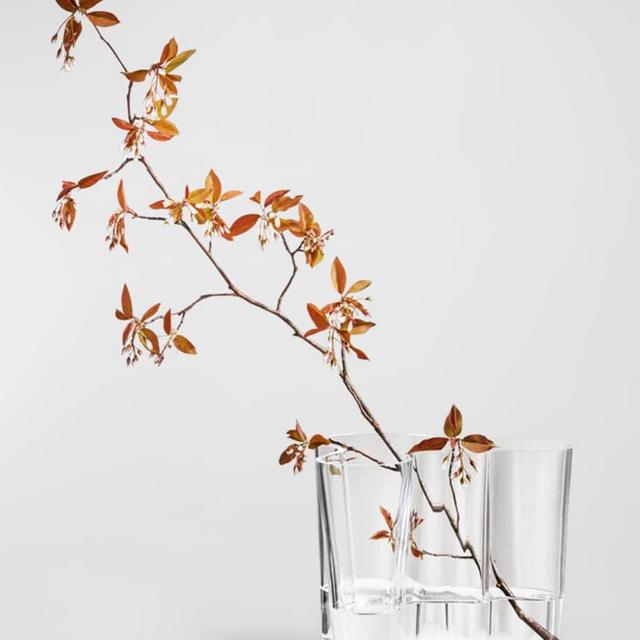 Iittala Aalto Vase, 6.3"