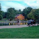 Bois de la cambre