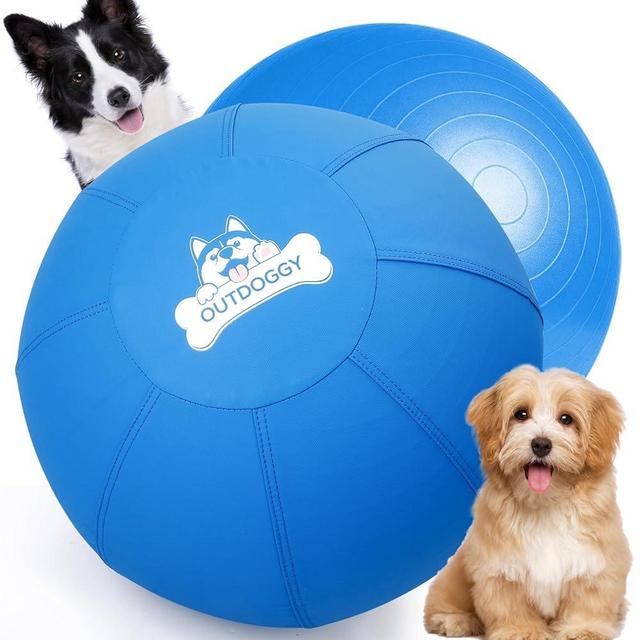 Herding Ball for Dogs 18 Inch - Dual-Layer Heavy Duty Herding Ball for Australian Shepherds, Border Collies & Corgis | Outdoor Herding Toy for Small/Medium Dogs - Backyard Training and Play - Blue