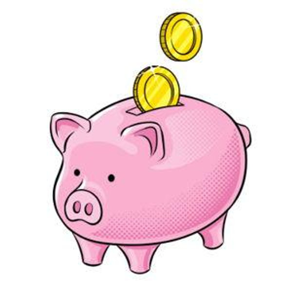 Our newlywed fund