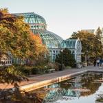 Brooklyn Botanic Garden