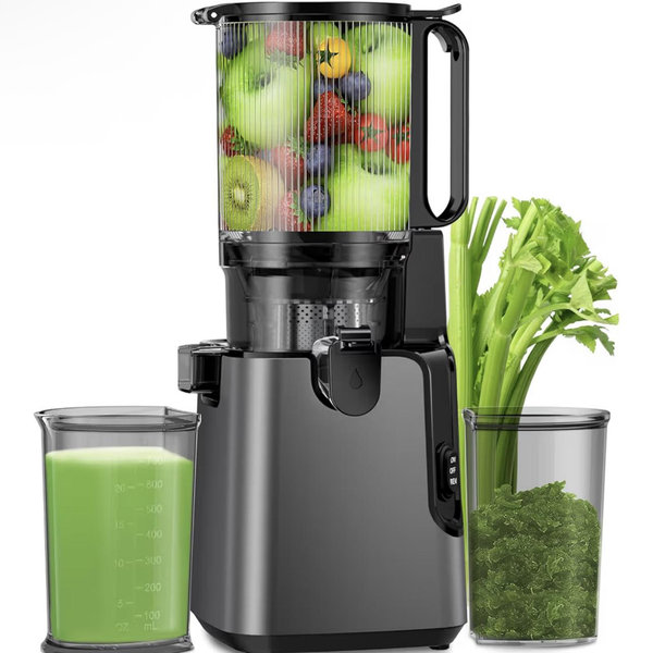 Cold Press Juicer