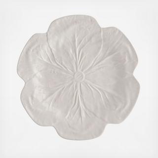 Cabbage Dinner Plate, Set of 4