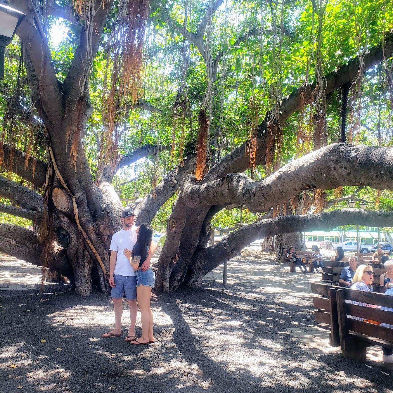 Maui - April 2019