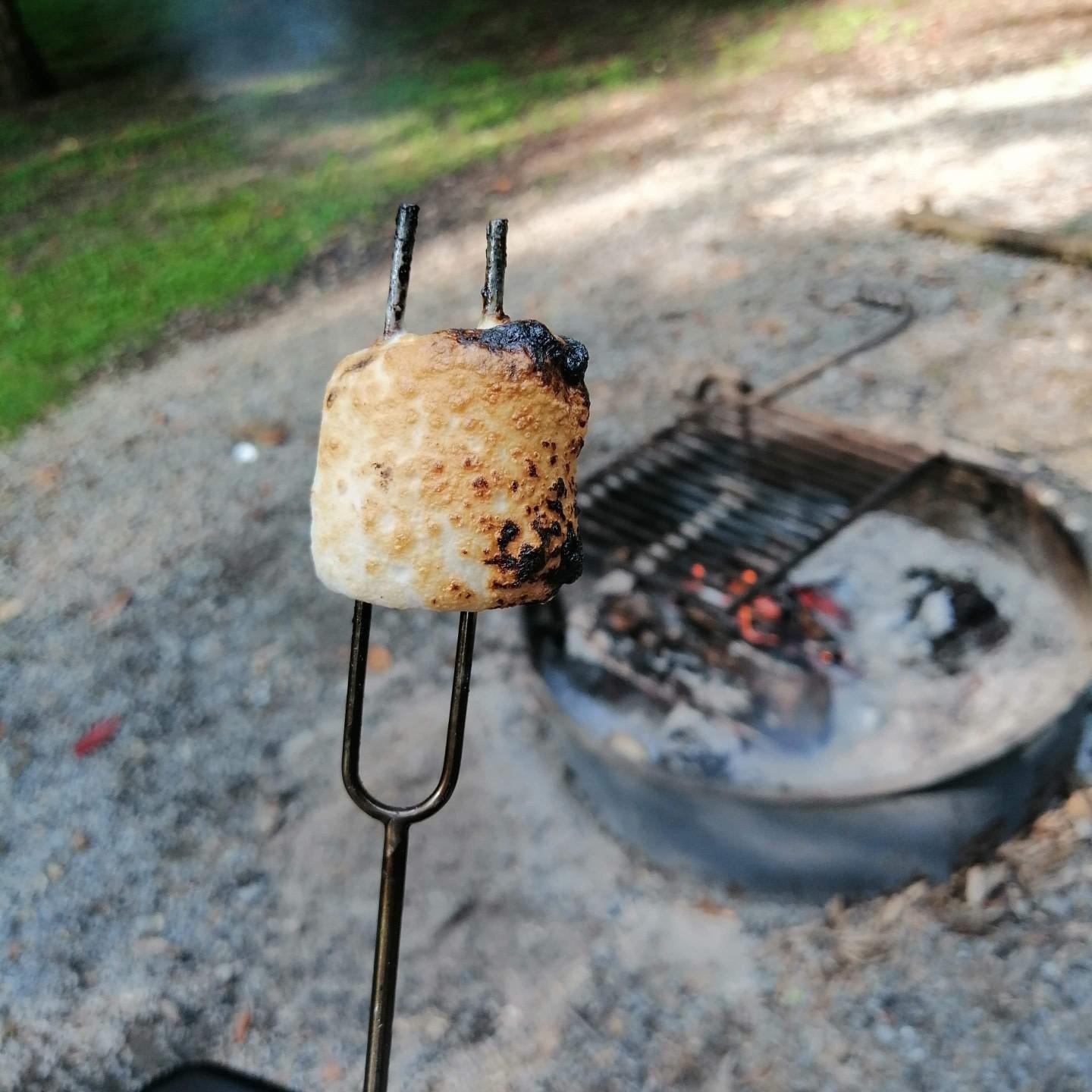 The Perfect S'more.