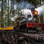 Roaring Camp