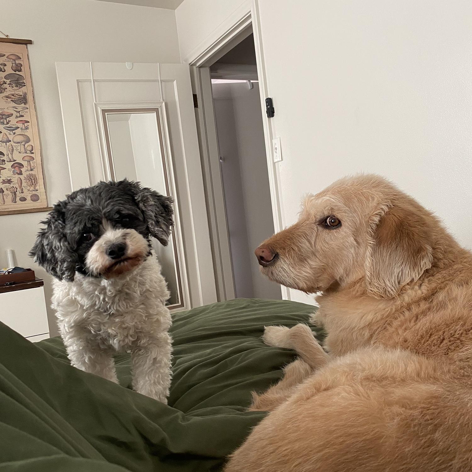 Our little family